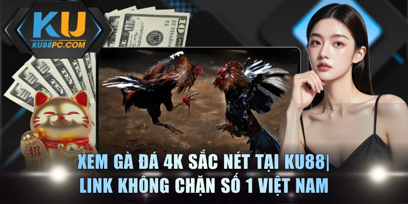 Xem Gà Đá